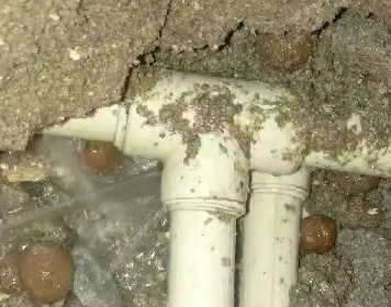 环江测漏水多少钱