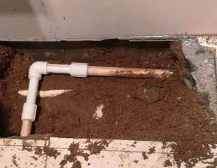 环江测漏水哪家好