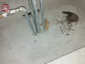 环江卫生间测漏水价格明细