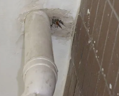 环江漏水检测哪家好